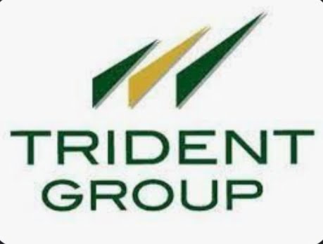 TRIDENT Share price today : Trident  कंपनी का शेयर फिर उड़ान भरने को है तैयार , पिछले एक सफ्ताह में दिया इतना  रिटर्न ! यहाँ देखे